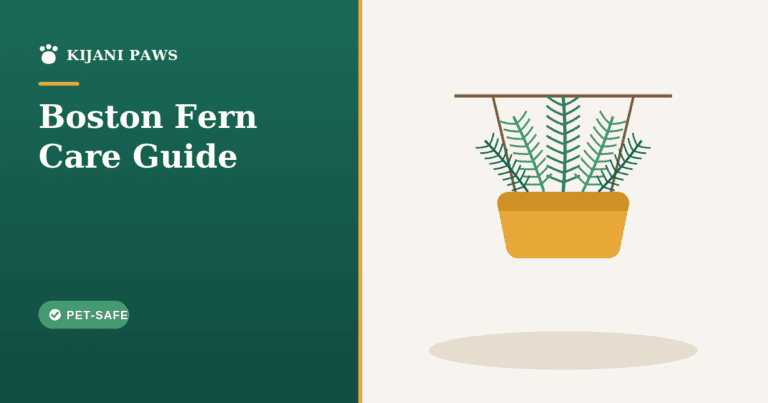A lush green Boston fern in a hanging basket with a dog resting below