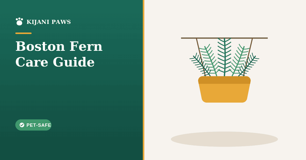 A lush green Boston fern in a hanging basket with a dog resting below