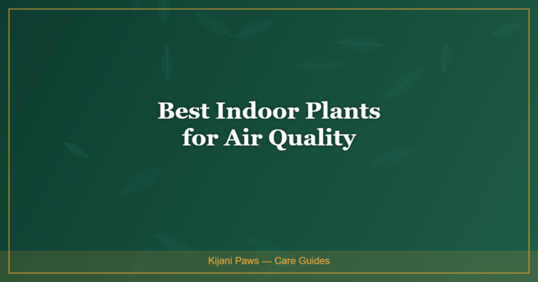 Best Indoor Plants for Air Quality (That Are Also Safe for Pets)