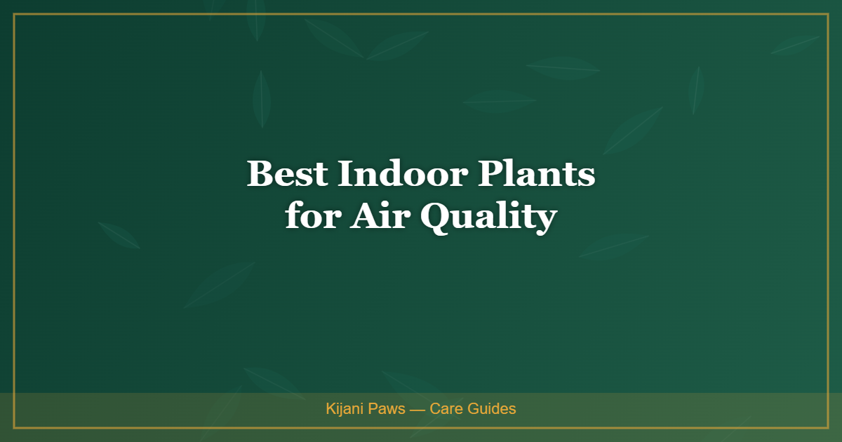 Best Indoor Plants for Air Quality (That Are Also Safe for Pets)
