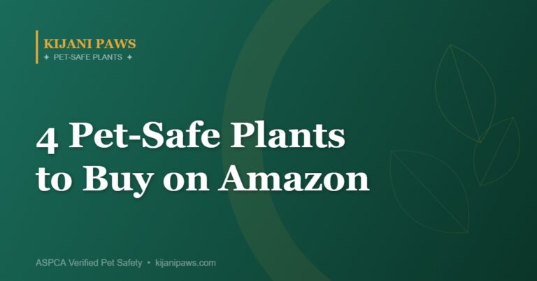 Best Pet-Safe Houseplants on Amazon: 4 ASPCA-Verified Picks (With Buy Links)