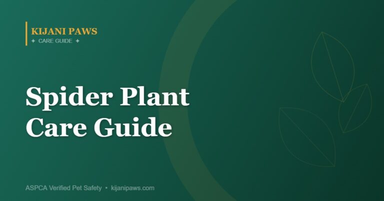 Spider Plant Care Guide: The Best Pet-Safe Hanging Plant for Beginners