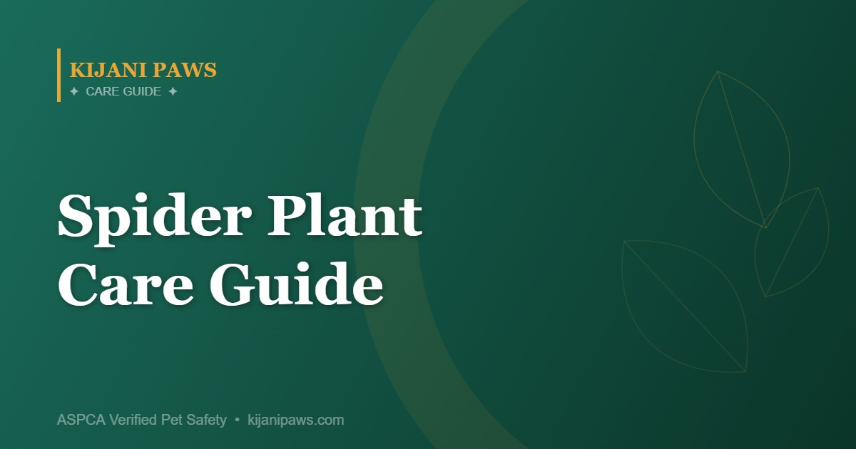 Spider Plant Care Guide: The Best Pet-Safe Hanging Plant for Beginners