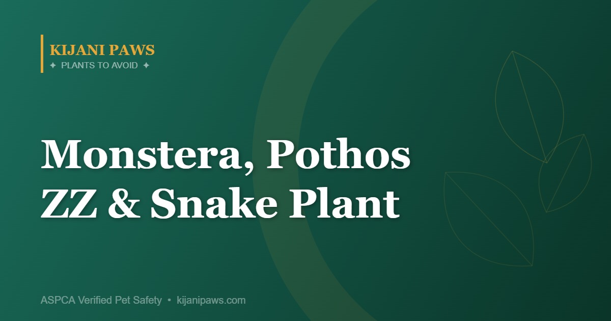 Monstera, Pothos, ZZ Plant, and Snake Plant: Bestsellers That Are Toxic to Your Pets