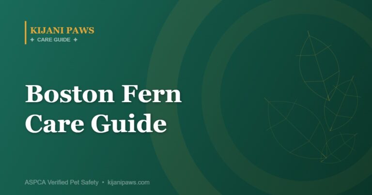 Boston Fern Care Guide: The Classic Pet-Safe Plant That Loves Humidity