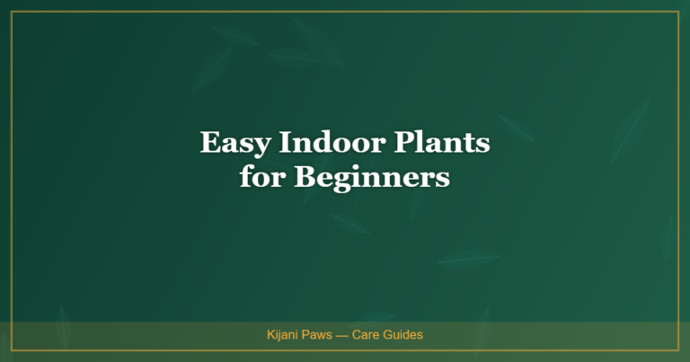 Easy Indoor Plants for Beginners (That Are Also Safe for Pets)