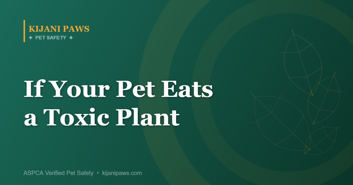 What to Do If Your Pet Eats a Toxic Plant: ASPCA Emergency Guide