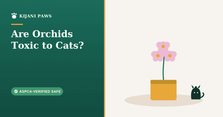 A cat sitting beside a pink moth orchid on a windowsill