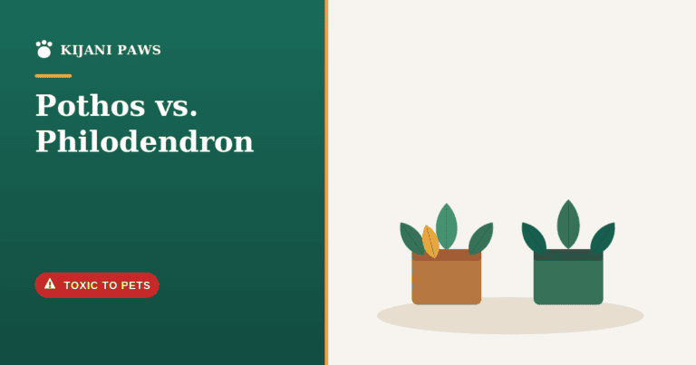 A pothos and a philodendron in pots with a red warning label for pet owners