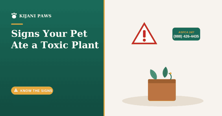 A worried dog next to a chewed houseplant with an ASPCA poison control phone number