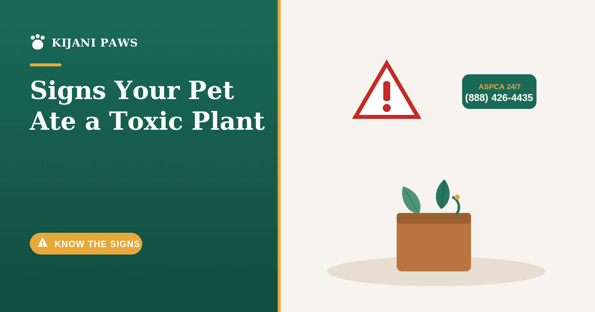 A worried dog next to a chewed houseplant with an ASPCA poison control phone number