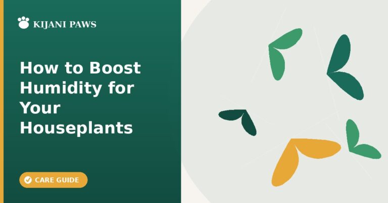 how to increase humidity for houseplants