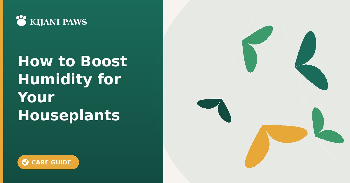 how to increase humidity for houseplants