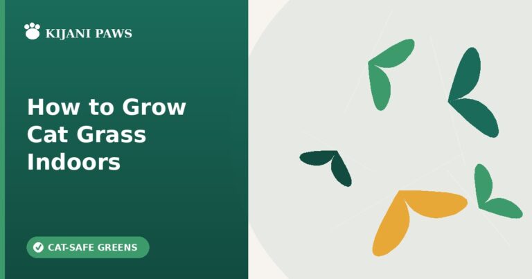how to grow cat grass indoors