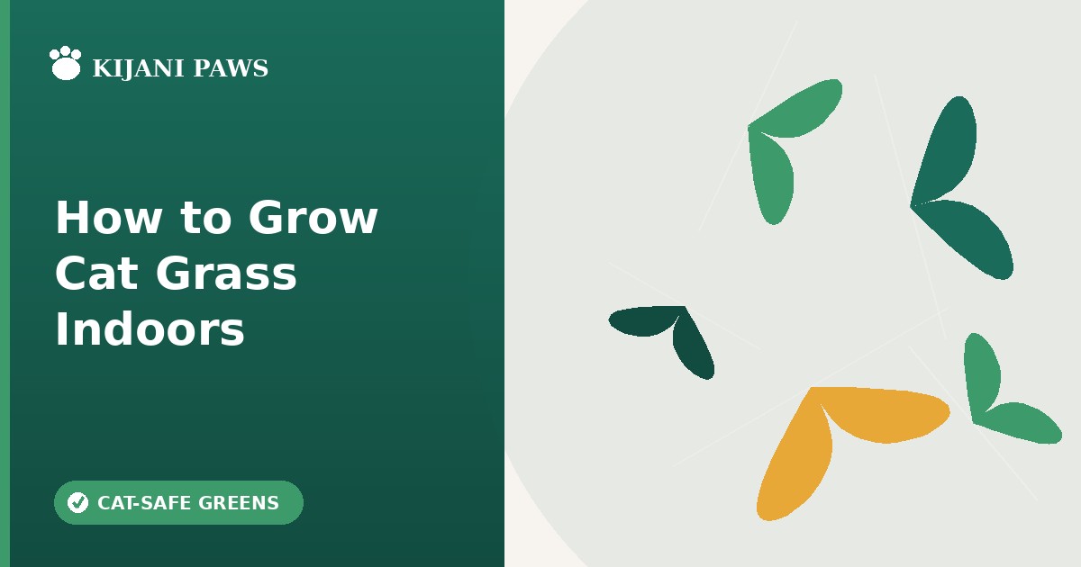 how to grow cat grass indoors