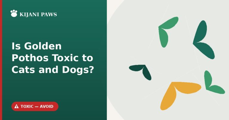 is golden pothos toxic to cats and dogs