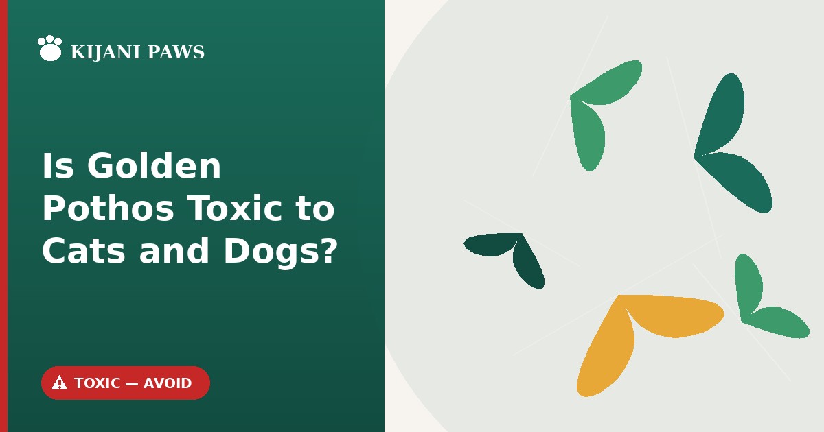 is golden pothos toxic to cats and dogs
