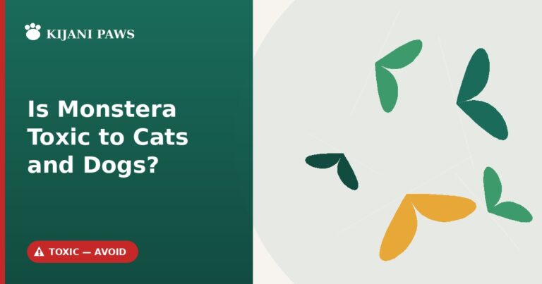 is monstera toxic to cats and dogs