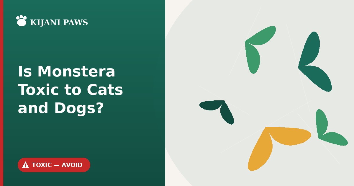 is monstera toxic to cats and dogs