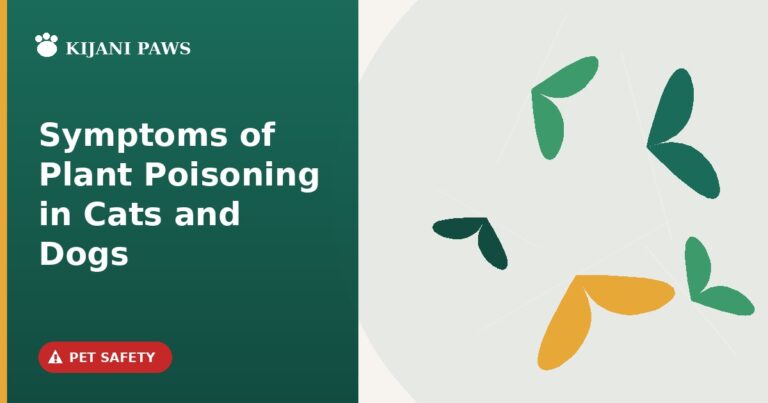 symptoms of plant poisoning in cats and dogs