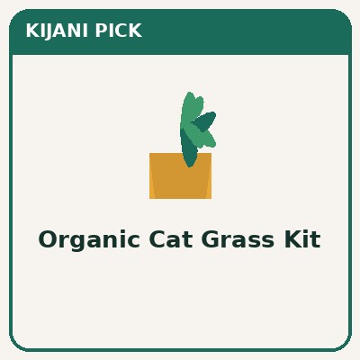 Organic cat grass kit