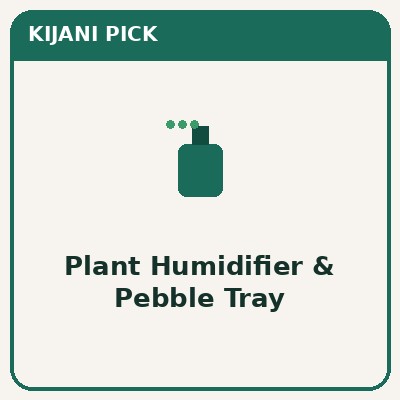 Plant humidifier and pebble tray